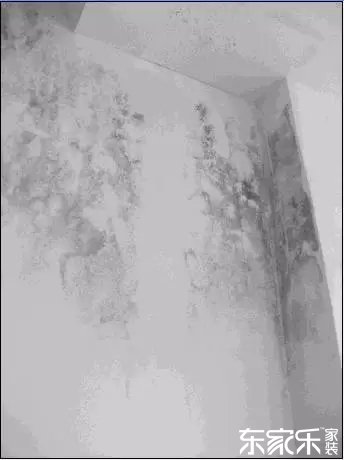 墻面發(fā)霉發(fā)黑怎么辦？墻面已經(jīng)出現(xiàn)霉斑時怎么做？