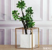 室內(nèi)裝修有哪些裝修風(fēng)格？簡(jiǎn)述各類裝修風(fēng)格優(yōu)缺點(diǎn)